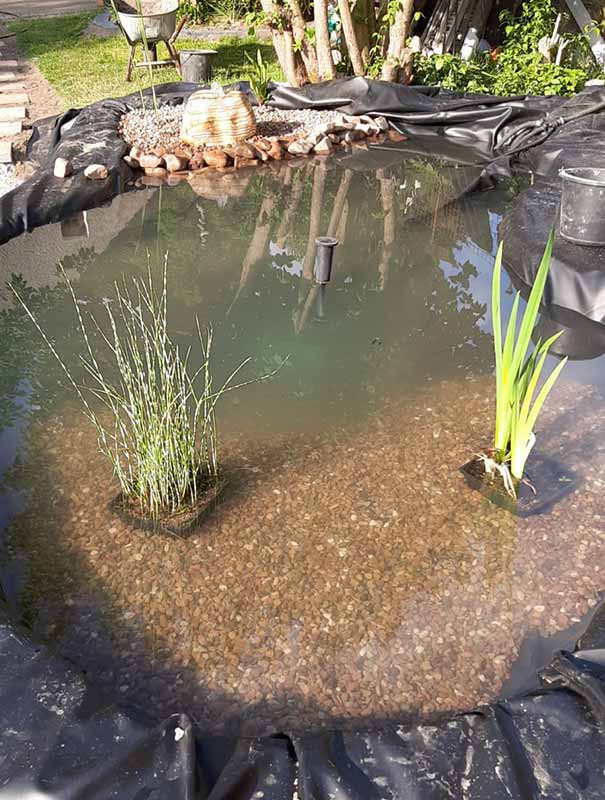 Gartenteich mit natürlicher Optik