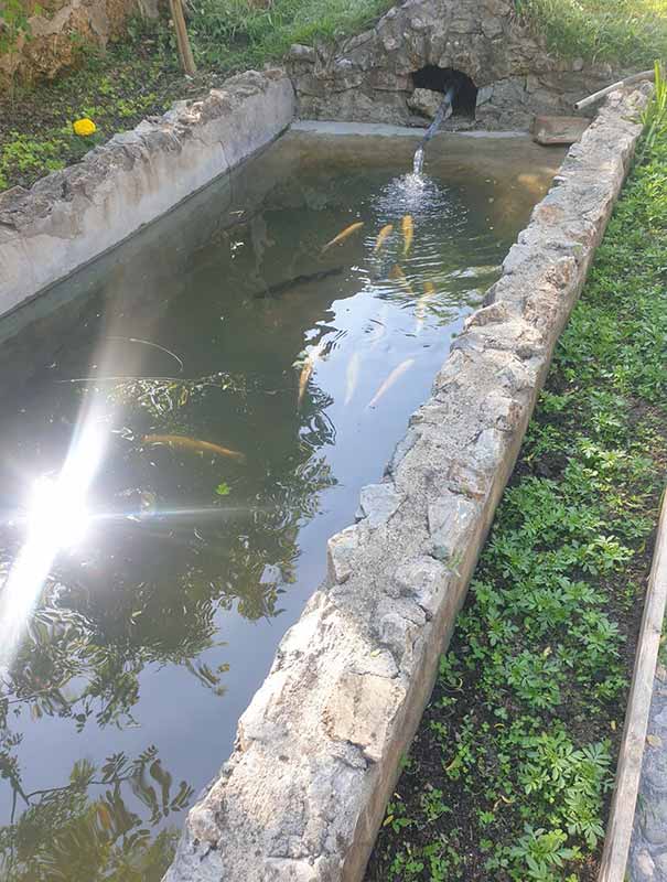 Teichanlage mit Natursteinoptik